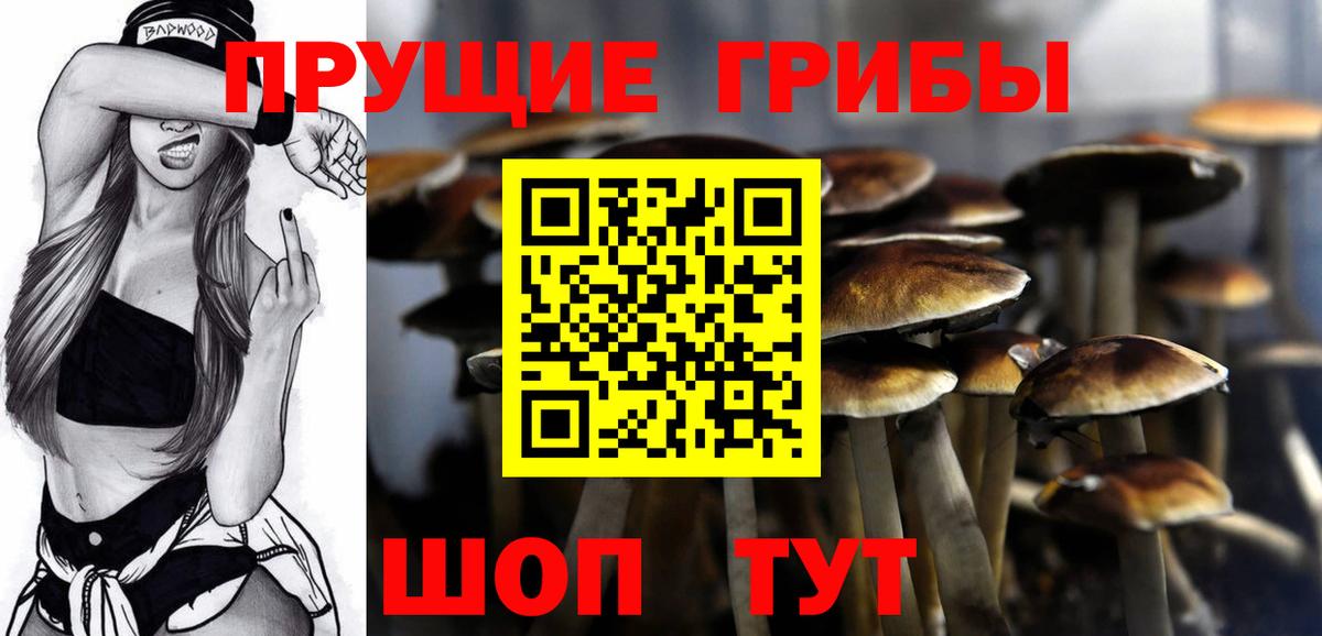 Псилоцибиновые грибы мицелий  Вход с VPN  Псилоцибиновые грибы Psilocybine cubensis  Белогорск 